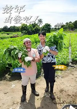 综艺追光路上高清在线观看